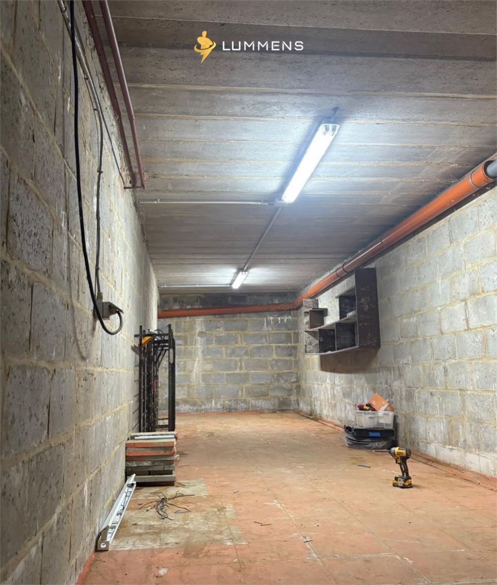Installation éclairage cave terminée