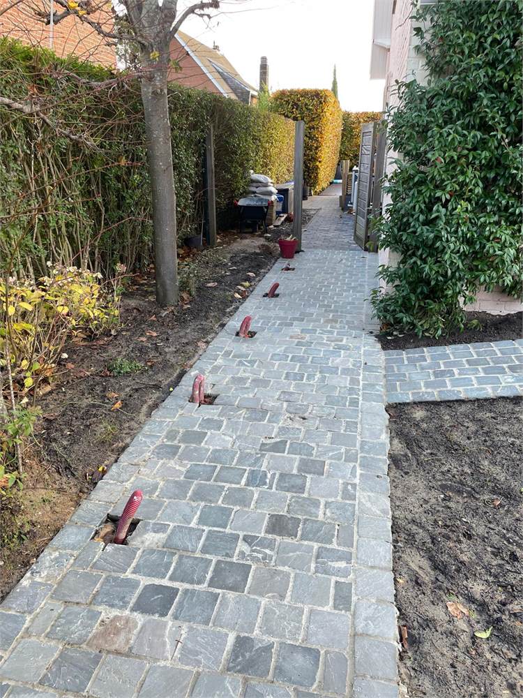 Jardin 3